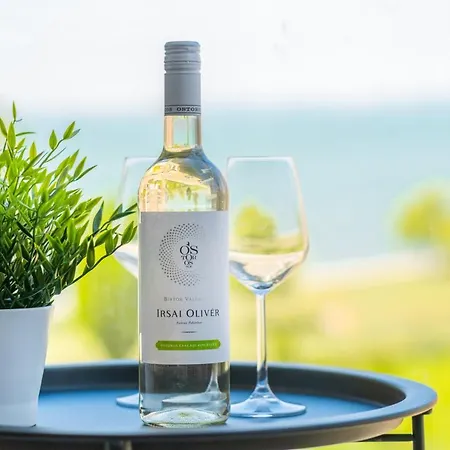 Myflat Coral Premium Apartment 公寓 *